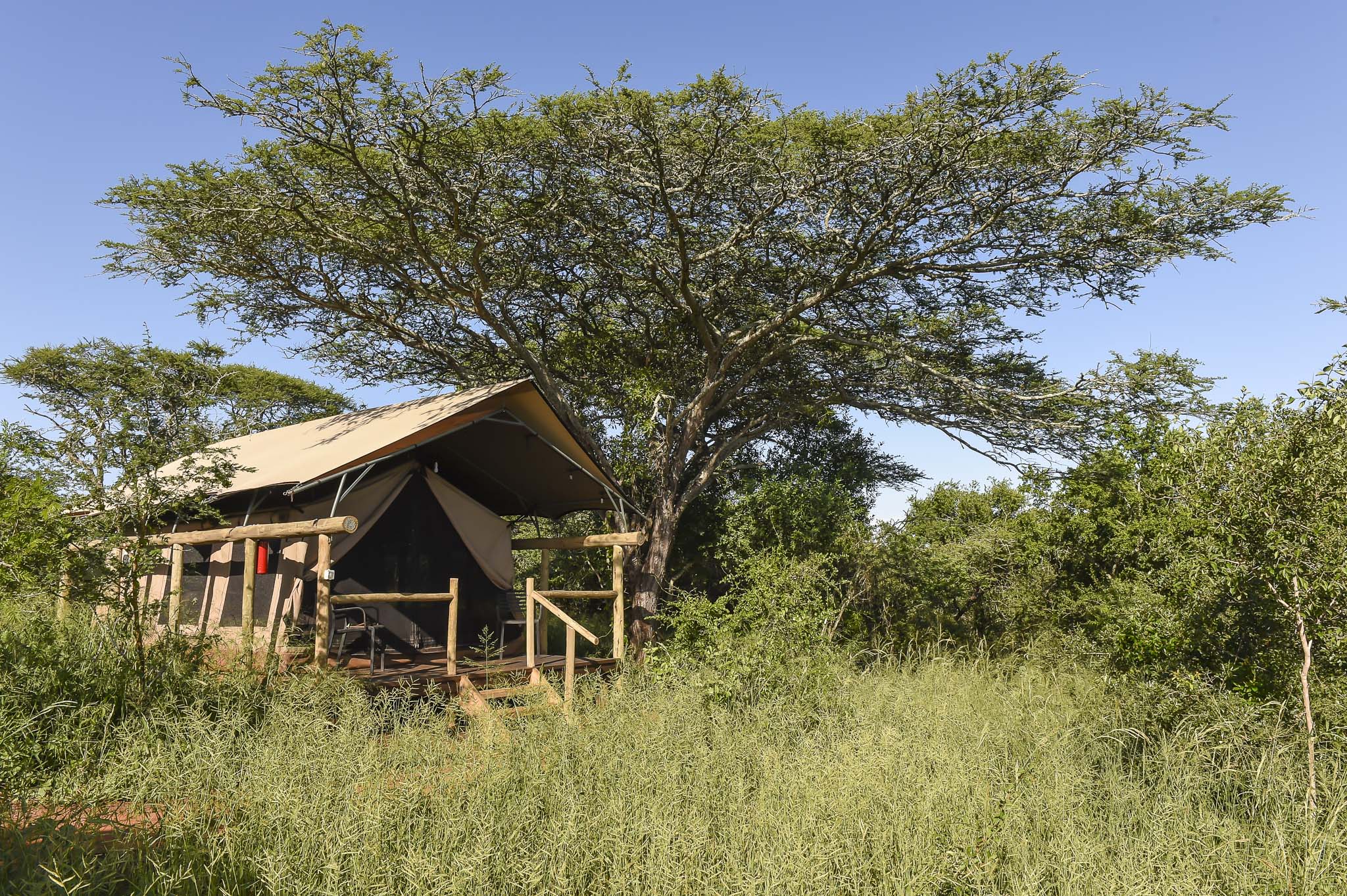 Zululand Lodge thumbnail 12